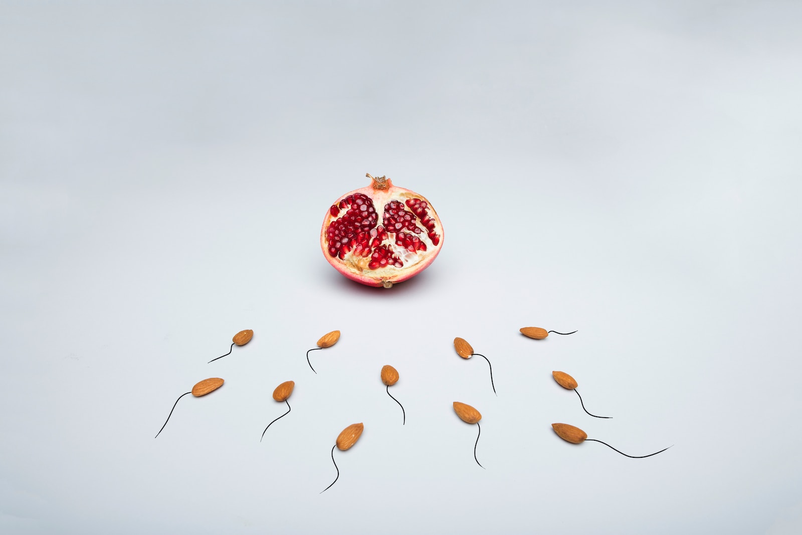 red fruit with white background